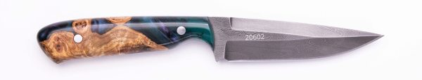 Carved Damascus Field Knife #20602 Online Hot Sale